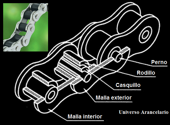 Cadena articulada de rodillos