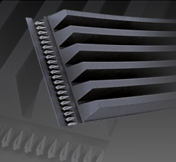 Correa trapezoidal